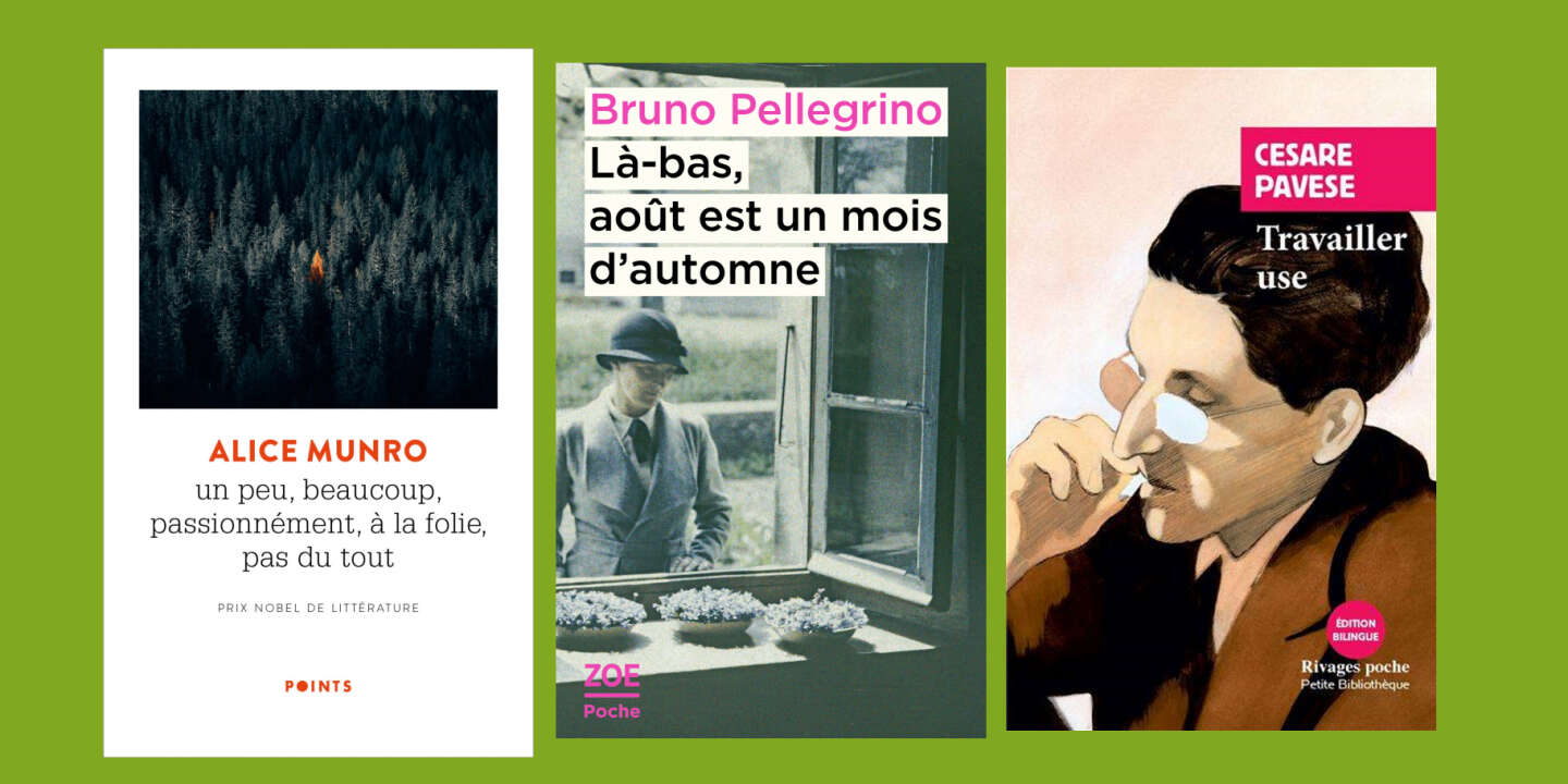 Alice Munro Bruno Pellegrino Cesare Pavese La Chronique Poches De Veronique Ovalde