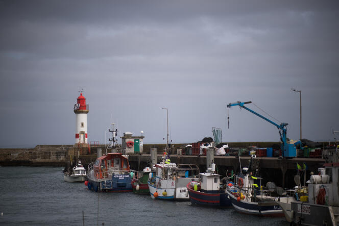 Des bateaux de pêche dans le port de l’île de Groix (Morbihan), le 11 mai 2020.