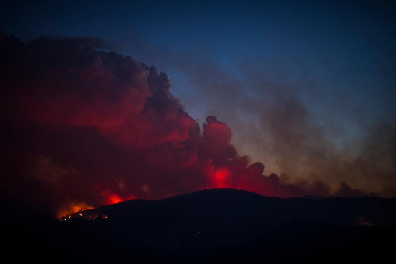 Et La Foret Brûle Sous Nos Pas