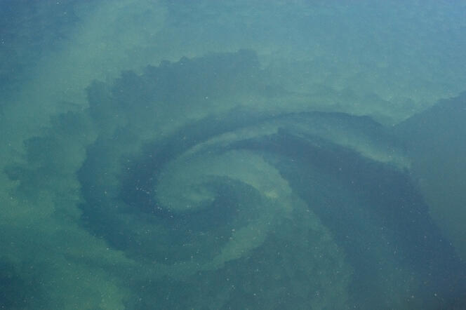 Eine Meeresströmung, Divertikel des Golfstroms, im Golf von Mexiko.
