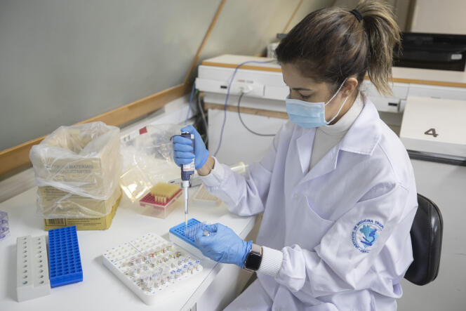 Une chercheuse du laboratoire de virologie de l’université de médecine tropicale travaille à la mise au point d’un test qui permettra de détecter le variant P.1 du nouveau coronavirus, à Sao Paulo, le jeudi 4 mars 2021.