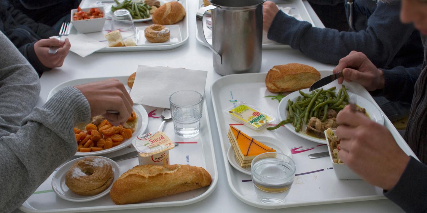Les cantines scolaires de Lyon vont réintroduire partiellement la viande à la rentrée, fin avril