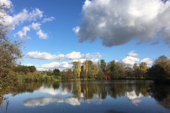 L’étang aux Hérons de l’arboretum de Versailles-Chèvreloup.