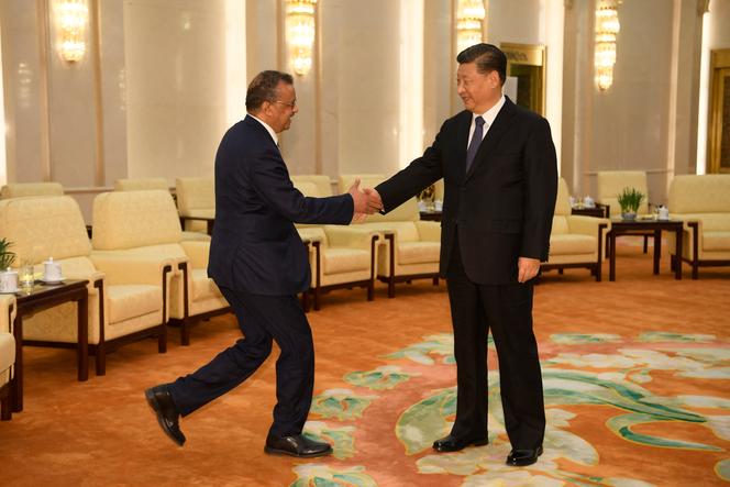 Le directeur général de l’Organisation mondiale de la santé, Tedros Adhanom, serre la main du président chinois Xi Jinping avant une réunion au Grand Hall du Peuple à Pékin, le 28 janvier 2020.