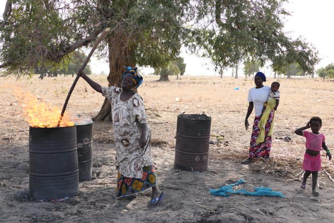 Pyrolyse de paille de mil pour obtenir du biocharbon, au village de Keur Mor Diop, près de la forêt classée de Djilor, dans le Sine Saloum, au Sénégal, en mars 2021.