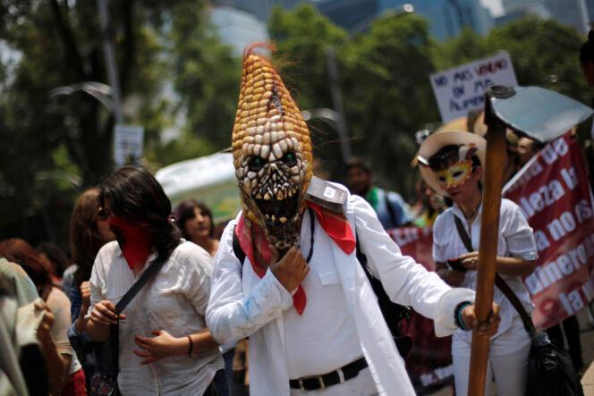 Un manifestant porte un masque en forme de maïs, lors d’une des nombreuses manifestations mondiales de la « Marche contre Monsanto », contre les organismes génétiquement modifiés (OGM) et les produits agrochimiques, à Mexico, le 24 mai 2014.