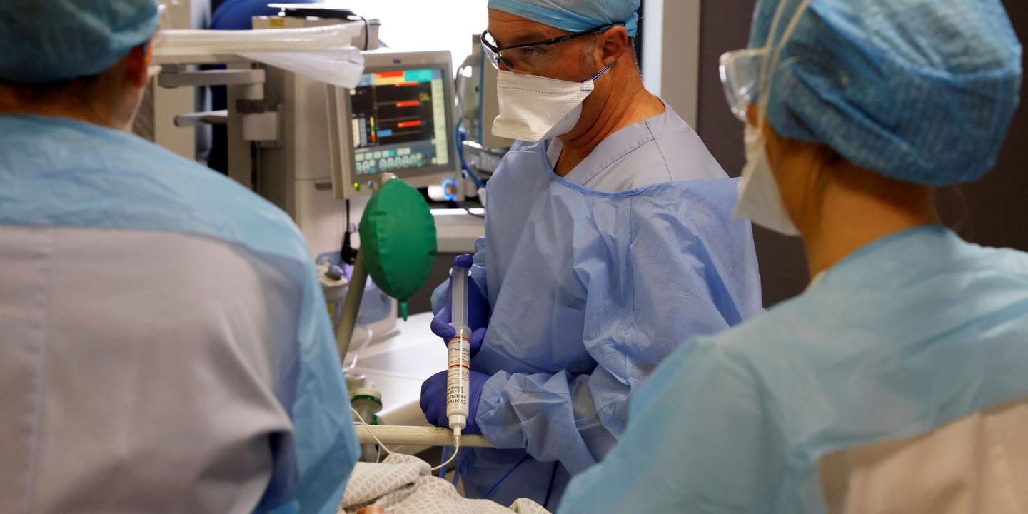 Le Sénat relance le débat sur les ratios de soignants par nombre de