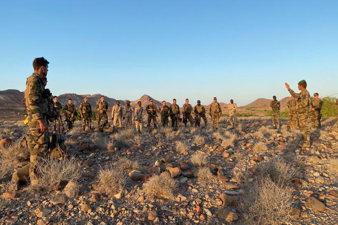 Des officiers français et djiboutiens lors d’un entraînement dans le désert, le 30 janvier 2021.
