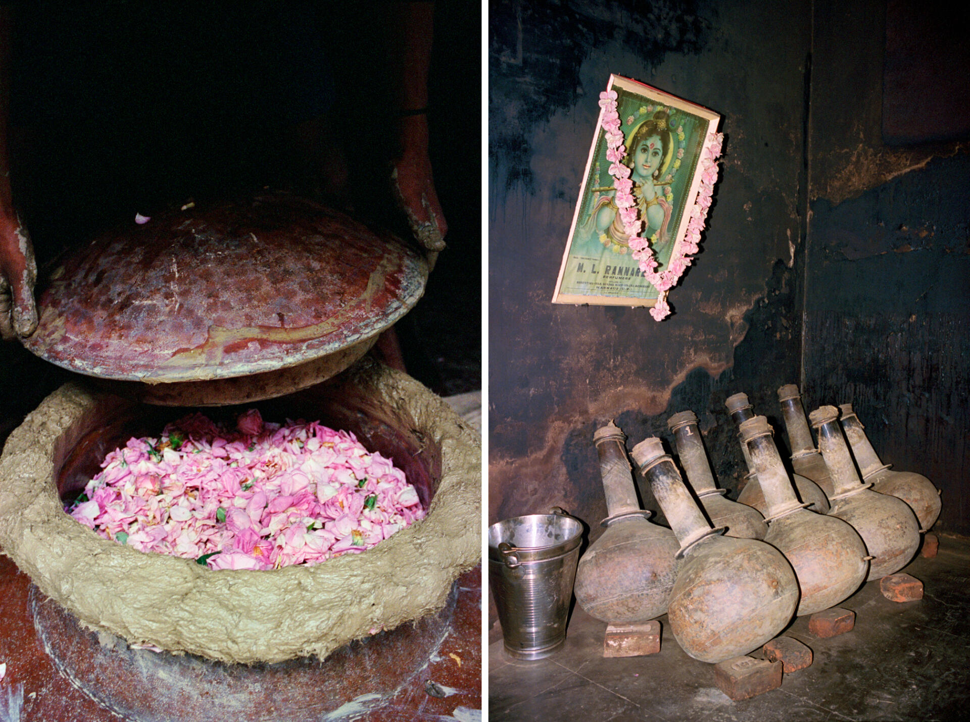 Dans la distillerie M. L. Ramnarain, à Kannauj (Uttar Pradesh), le 14 mars. La maison distille un tas de choses, comme ici des pétales de rose.