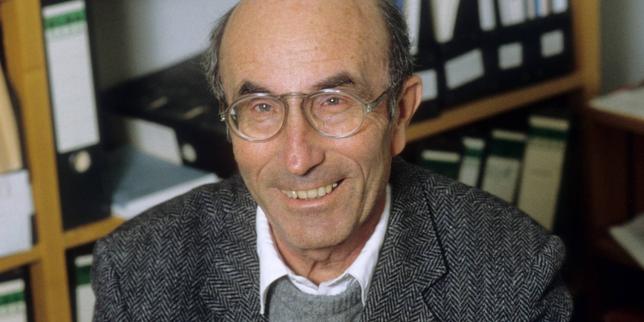 La sociologie épurée de Niklas Luhmann