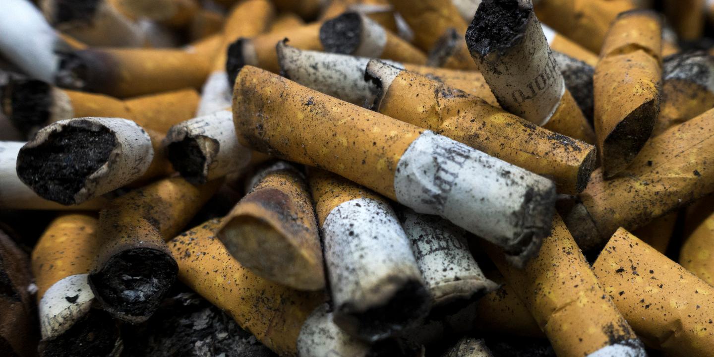 La guerre secrte de Philip Morris contre l'OMS et les experts de la lutte  antitabac