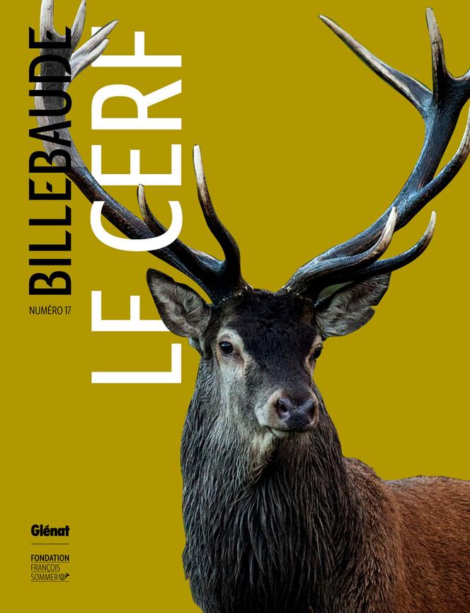 Du Miracle De Ses Bois Au Mysticisme Qu Il Suscite Le Cerf Decrypte Dans Tous Ses Etats