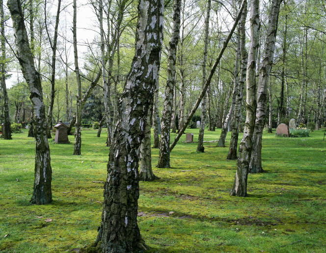 Le cimetière paysager de Clamart, dans les Hauts-de-Seine, conçu par l’architecte Robert Auzelle.