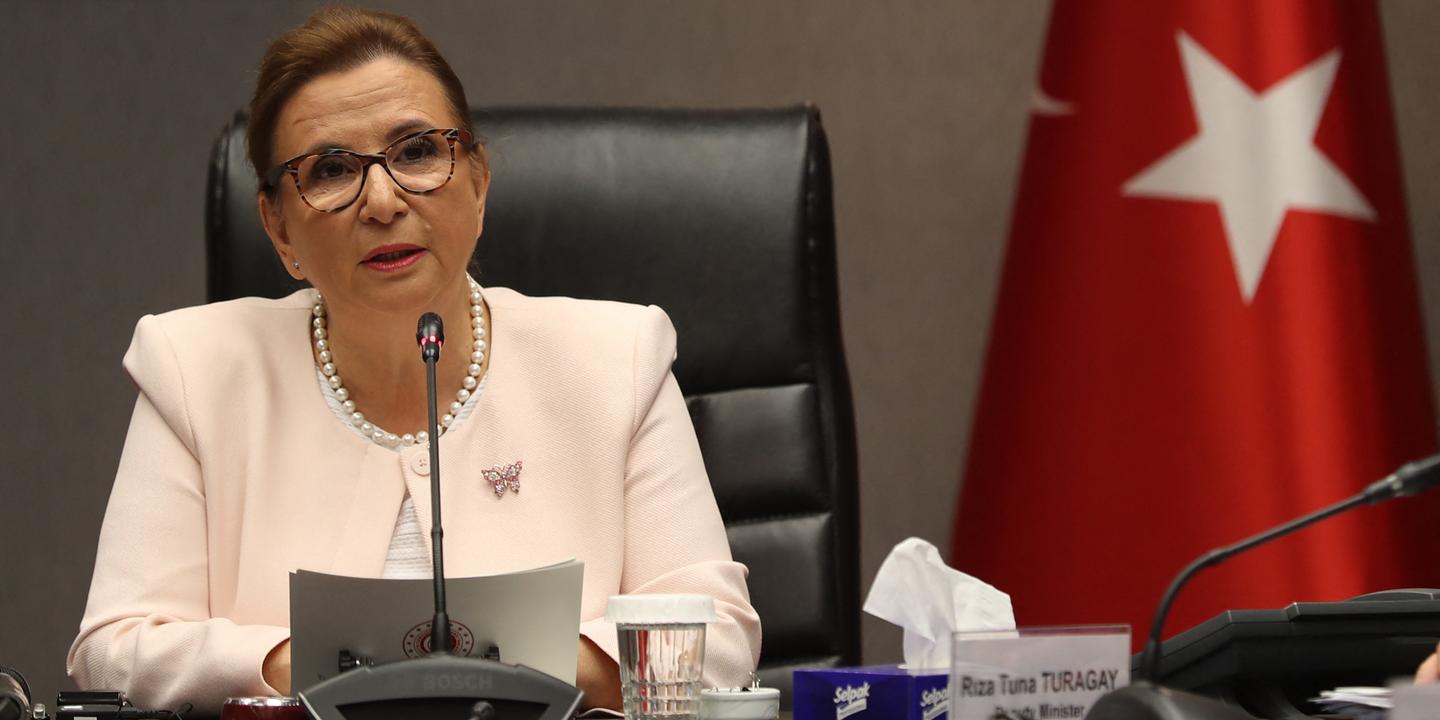 Turquie : la ministre du commerce limogée pour népotisme
