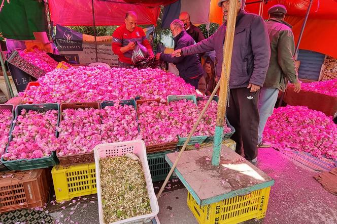 Des roses vendues en vrac dans les rues de Nabeul, en avril 2021.
