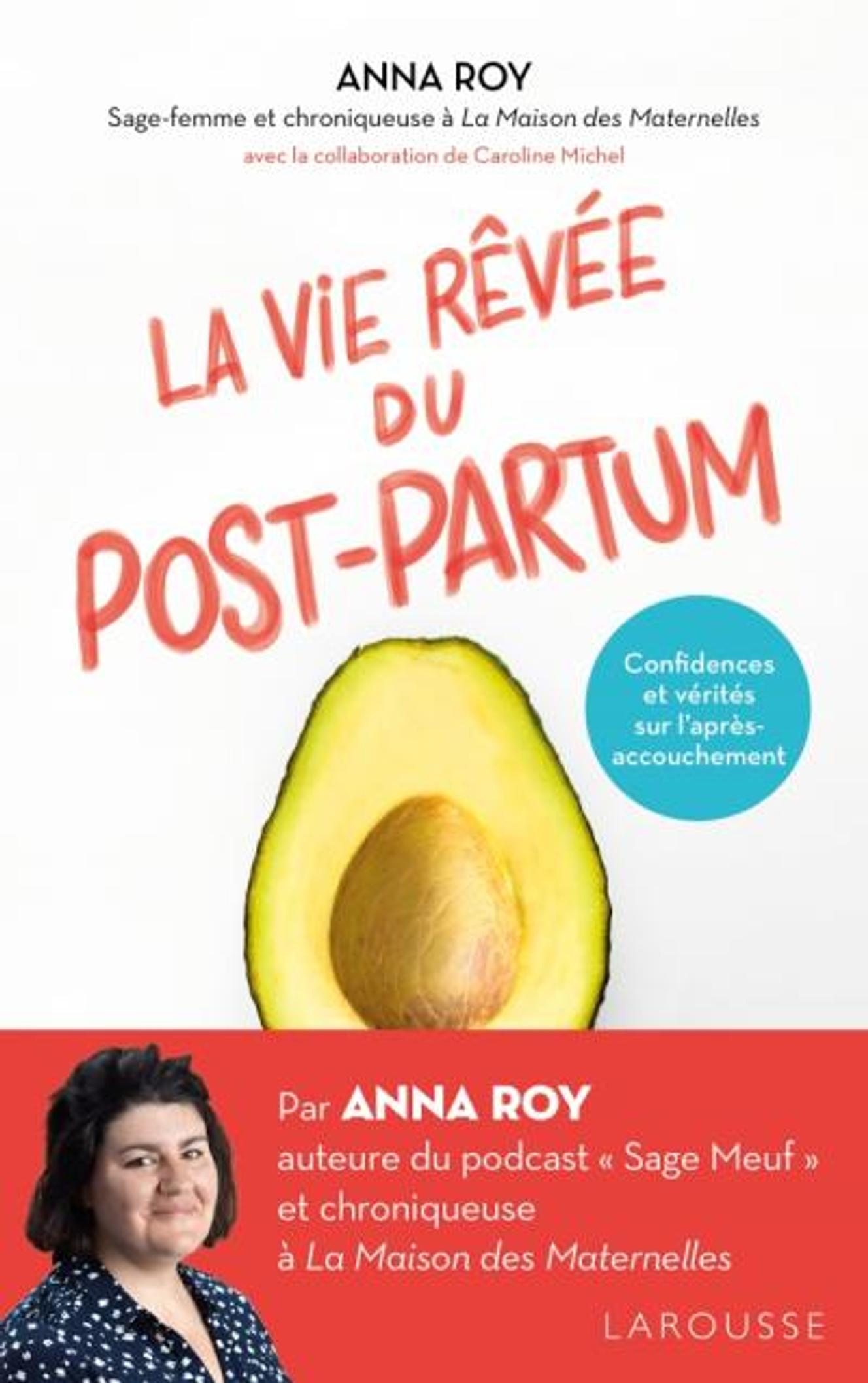 « La Vie rêvée du post-partum », d’Anna Roy.