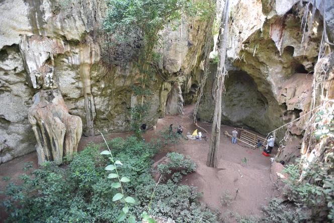 Vue générale du site de Panga ya Saidi (Kenya), où la plus ancienne sépulture africaine (78 000 ans) a été découverte.