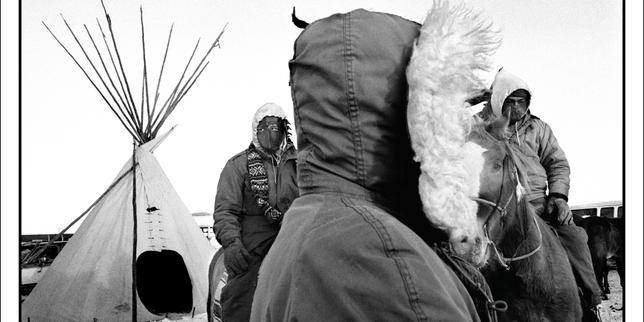 « L’Aube américaine », de Joy Harjo : le souffle de la poésie emporte la Piste des larmes