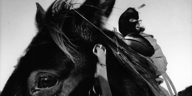 Amérindiens, Dante, DeLillo, Brésil… : nos choix de lecture