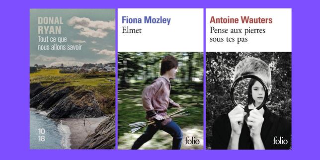 Donal Ryan, Fiona Mozley, Antoine Wauters : la chronique « poches » de Véronique Ovaldé