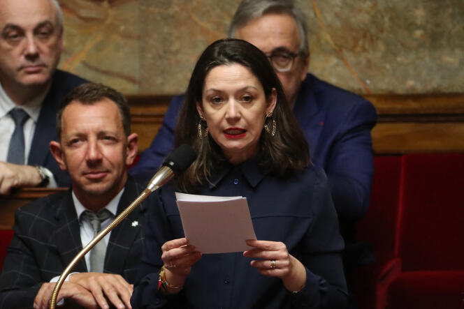La députée du parti La République en marche (LRM), Marie-Pierre Rixain, s’exprime lors d’une séance de questions au gouvernement à l’Assemblée nationale, le 6 mars 2019.