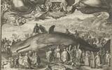 Walvis, washed ashore on 13 January 1601 at Beverwijk, Walvis (sperm whale) washed ashore on 13 January 1601 at Beverwijk. In the foreground count Ernst Casimir van Nassau, the painter with a paper in his hand with his drawing, a crowd of spectators [...]