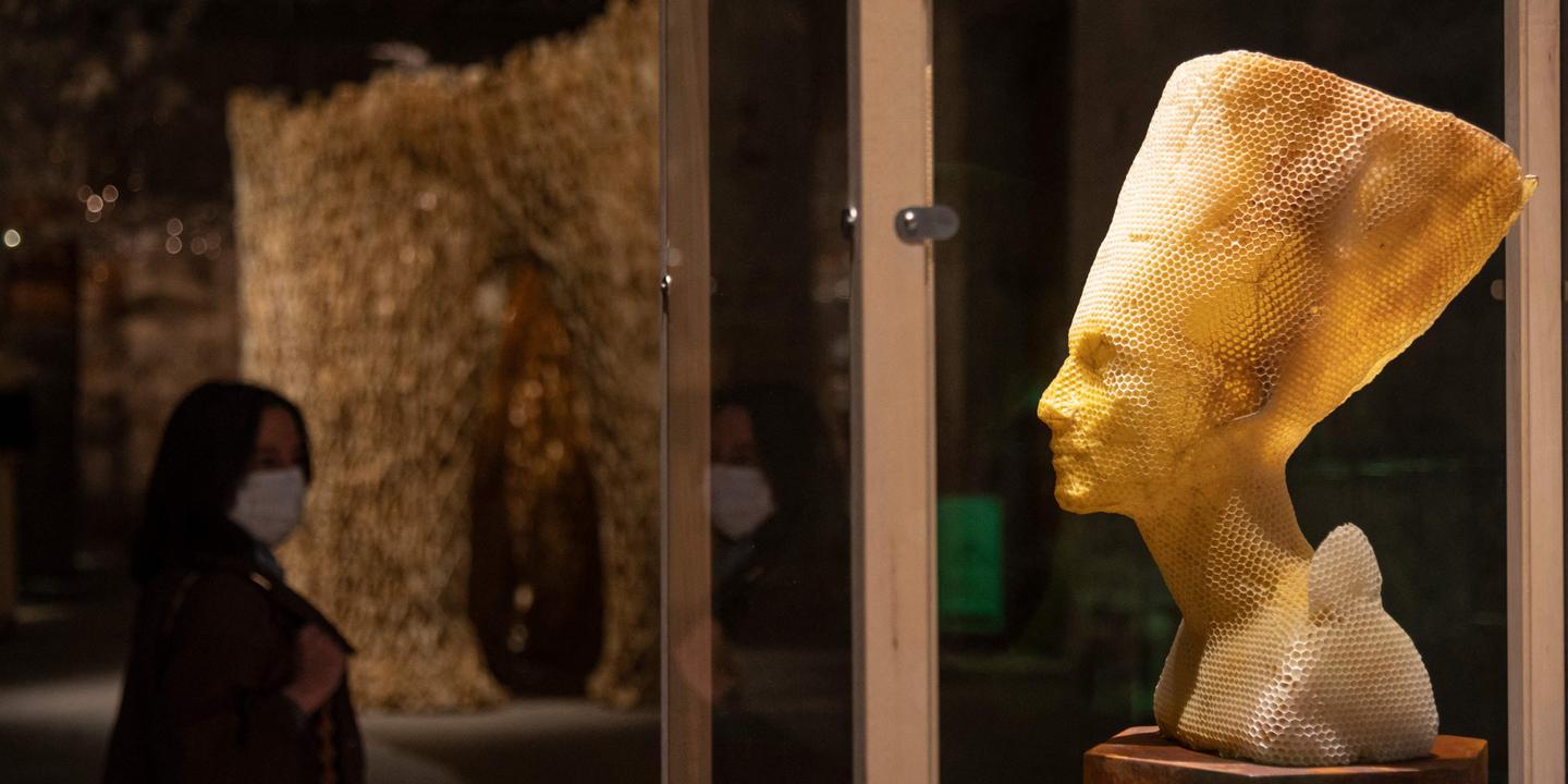 La Biennale d’architecture de Venise, édition de la crise généralisée