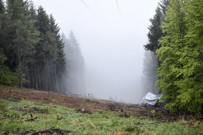 Sur le lieu de l’accident, le 24 mai, il ne reste qu’une parcelle de terre interdite d’accès près du sommet de la ligne Stresa-Mottarone, dans la région du Piémont, en Italie.