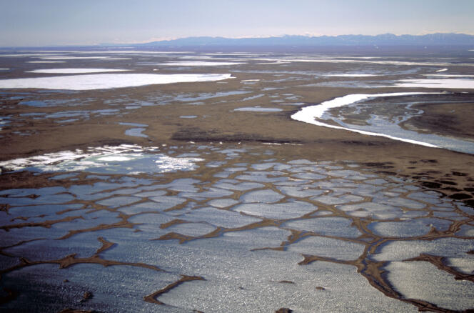 Dans l’immensité de la steppe de l’Alaska, sur les rives de l’océan Arctique.