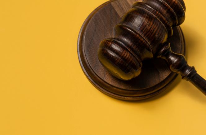 Des parlementaires ont écrit au Conseil constitutionnel que le passage obligatoire par la médiation portait atteinte au droit de recourir à la justice, compte tenu du faible nombre de conciliateurs en fonction.