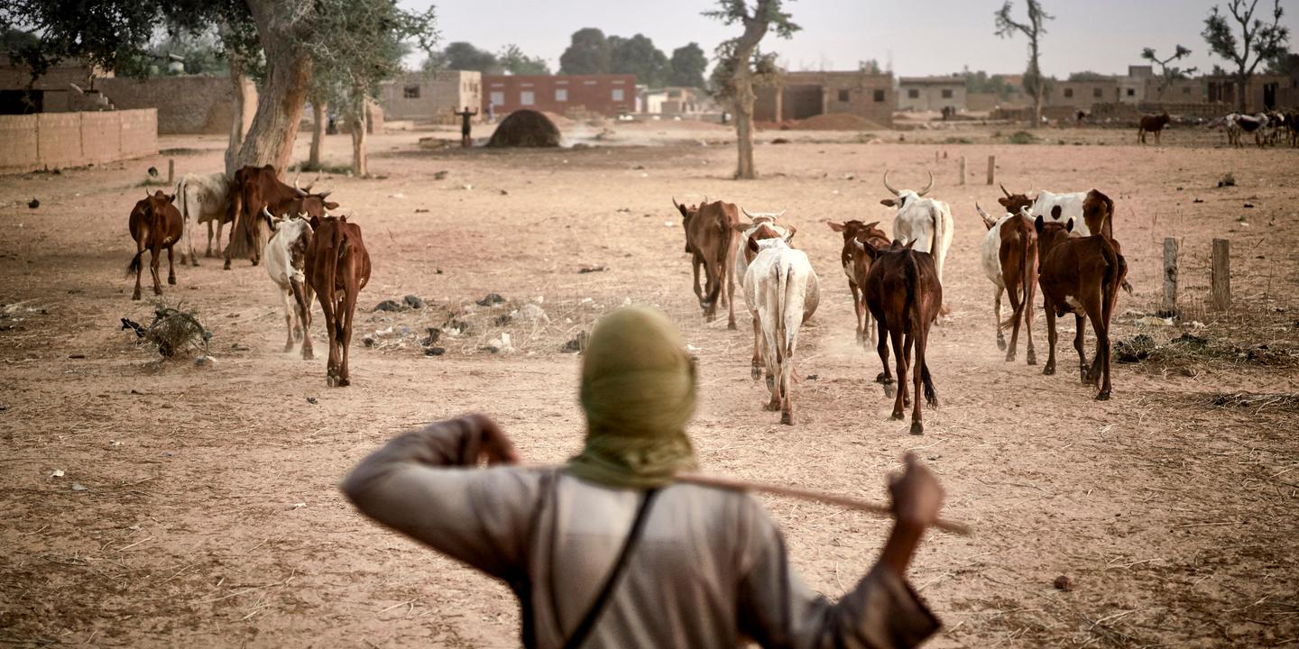 mali un ordre parallele se met en place avec des enclaves qui echappent au controle des autorites