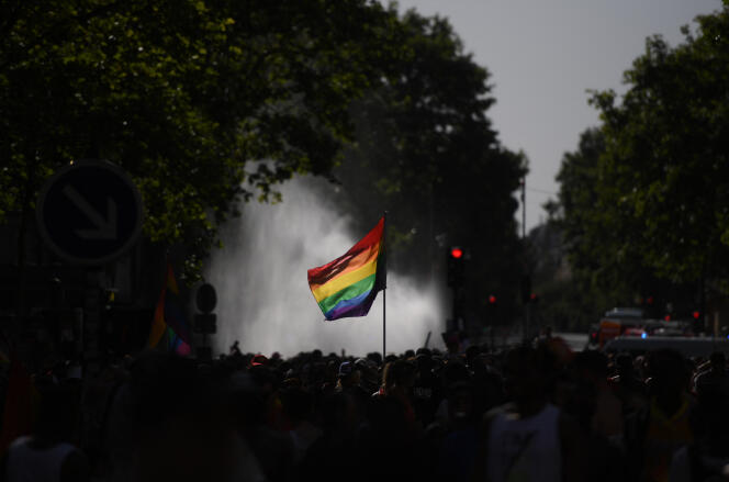 Des manifestants LGBTQIA+ lors de la Marche des fiertés, le 29 juin 2019, à Paris.