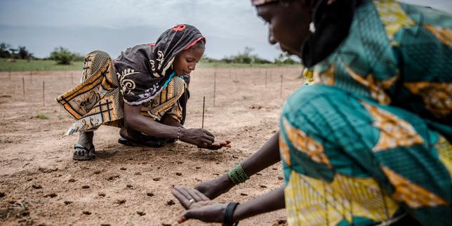 Au Sahel, des solutions numériques pour protéger et valoriser les terres
