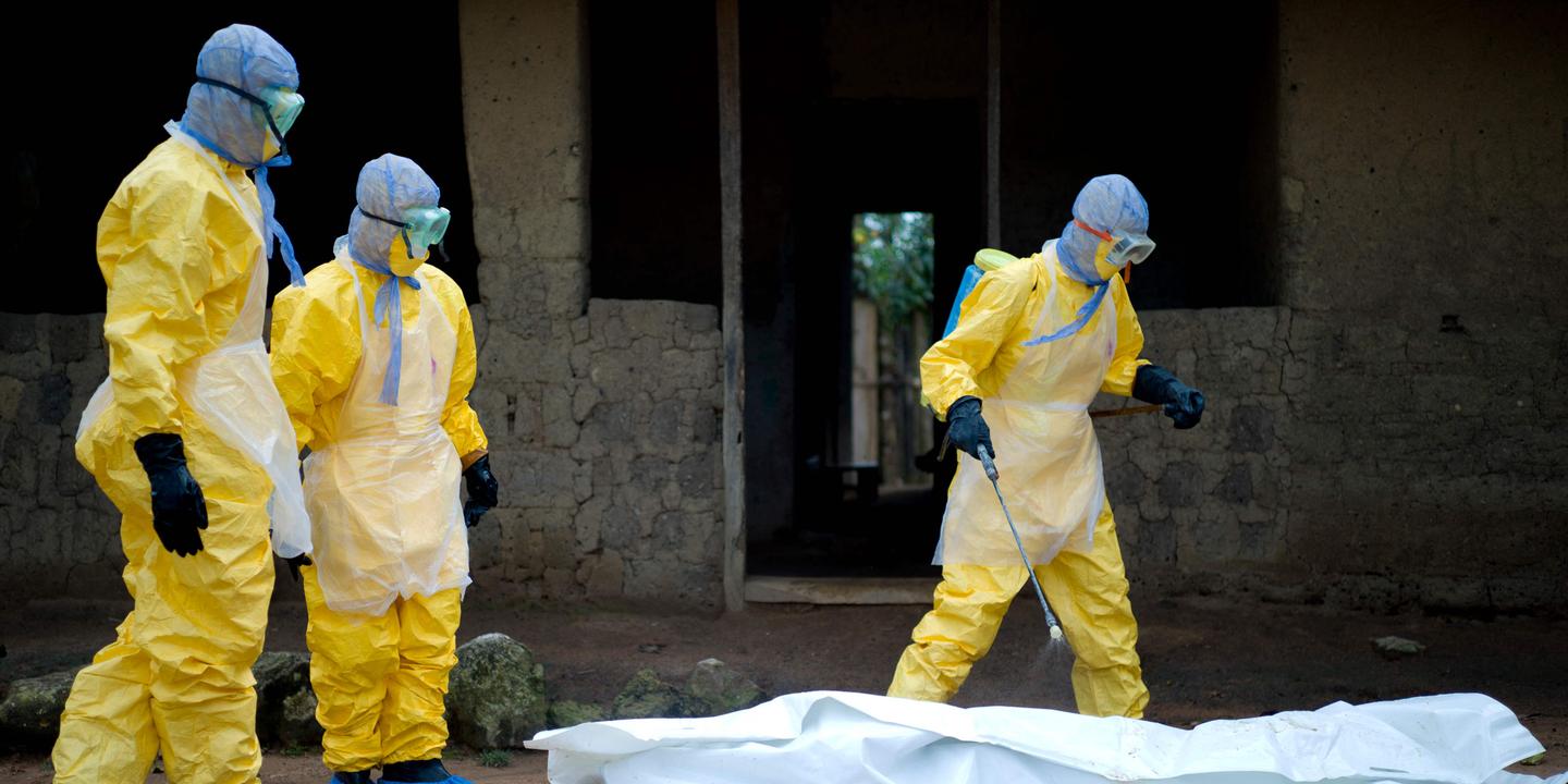 Infección por virus de Marburgo detectada en Guinea, la ...