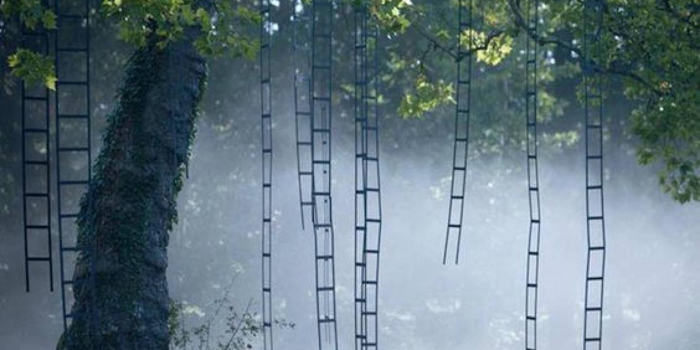 serie de debats prendre racine se connecter a ses emotions pour passer a l action