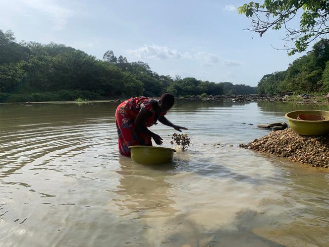 Laurentine Zamblé, orpailleuse clandestine dans la région de Bouaflé, en Côte d’Ivoire.