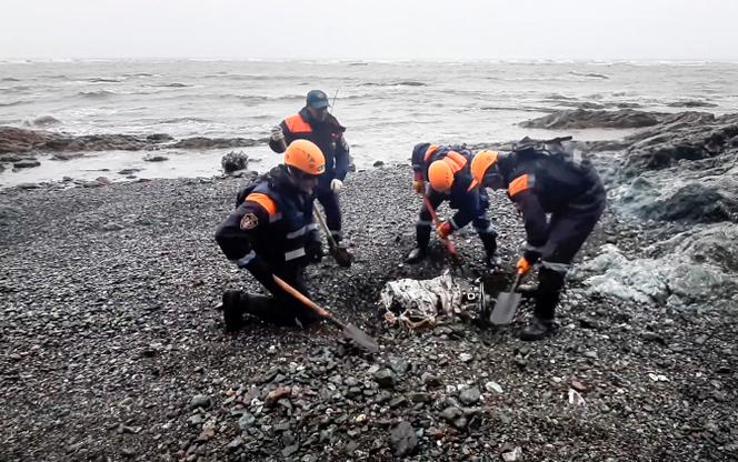 Rescue workers search the bodies of passengers from the crashed Antonov On-26 in the Far East of Russia.  July 7, 2021, the Russian Ministry of Emergency Situations of the photograph taken by the services.