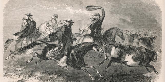 « Les Aventures de China Iron », de Gabriela Cabezon Camara : femmes libres de la pampa