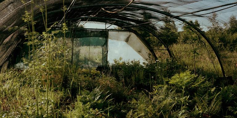 le Flérial jardin expérimental d'Eric Lenoir photographier le 9 et 10 Juin 2021.