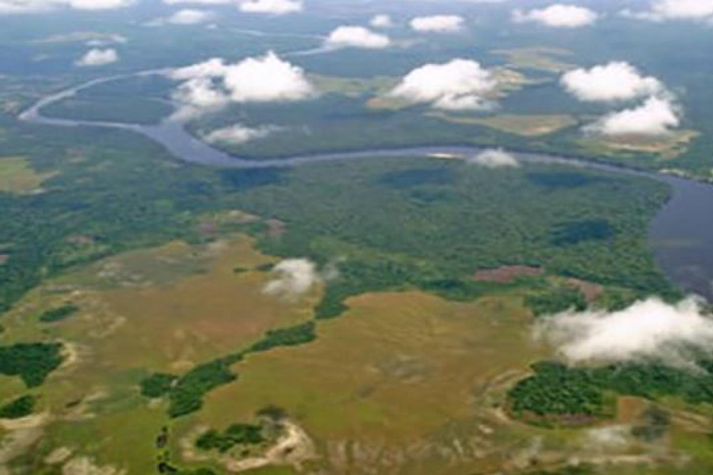Le plus grand parc de RDC retiré de la liste du patrimoine mondial en péril