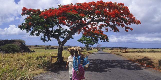 Nathacha Appanah à la recherche de Maurice, terre promise