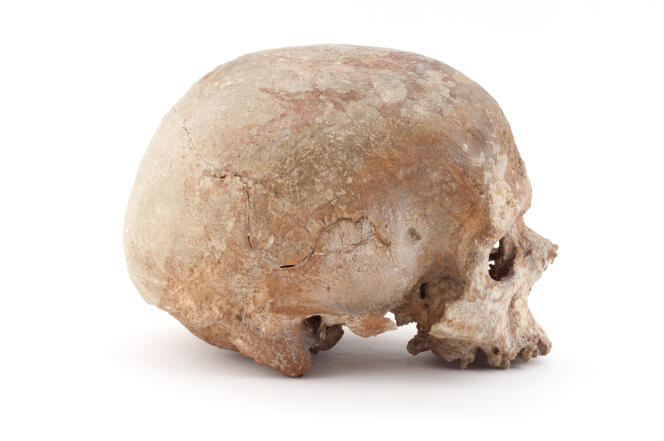 Crâne de l’homme de Cro-Magnon, Les Eyzies-de-Tayac, Dordogne, France, fouilles Louis Lartet, 1868.