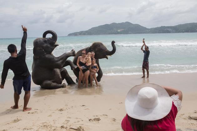 Une famille de touristes pose avec des éléphants, entourés de leurs dresseurs, sur la plage Lucky Beach de l’île de Phuket, en Thaïlande, en 2018.