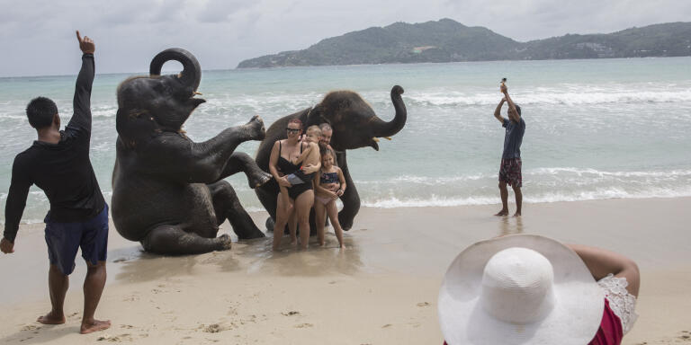 Scenes from Lucky Beach in Phuket, Thailand, where several elephants are available for photos. This is particularly popular with Chinese brides and grooms who stream in with their own professional photographers in tow to pose with the elephants.

Beck McPhee, mother, Chad McPhee, father, Maddison and Logan. Mother: Bec846@hotmail.com
