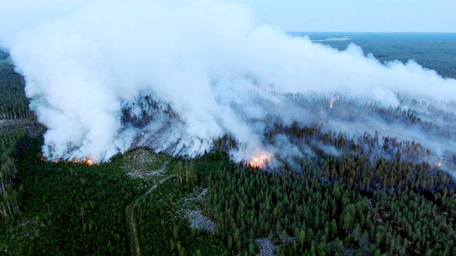 L’incendie, qui s’est déclaré lundi 26 juillet, a faibli vendredi 30 juillet en raison notamment de pluies dans le secteur, mais il n’est pas encore entièrement sous contrôle.