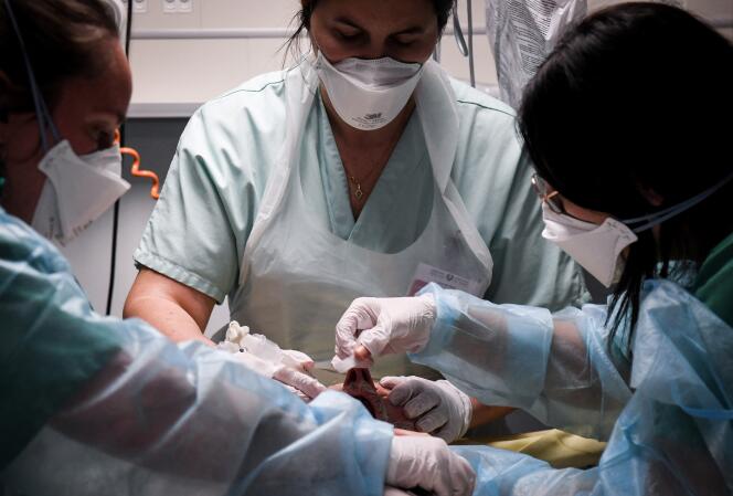 Des soignants s’occupent d’un patient, à l’hôpital AP-HP Louis-Mourier de Colombes (Hauts-de-Seine), dans la nuit du 4 au 5 mai 2021.