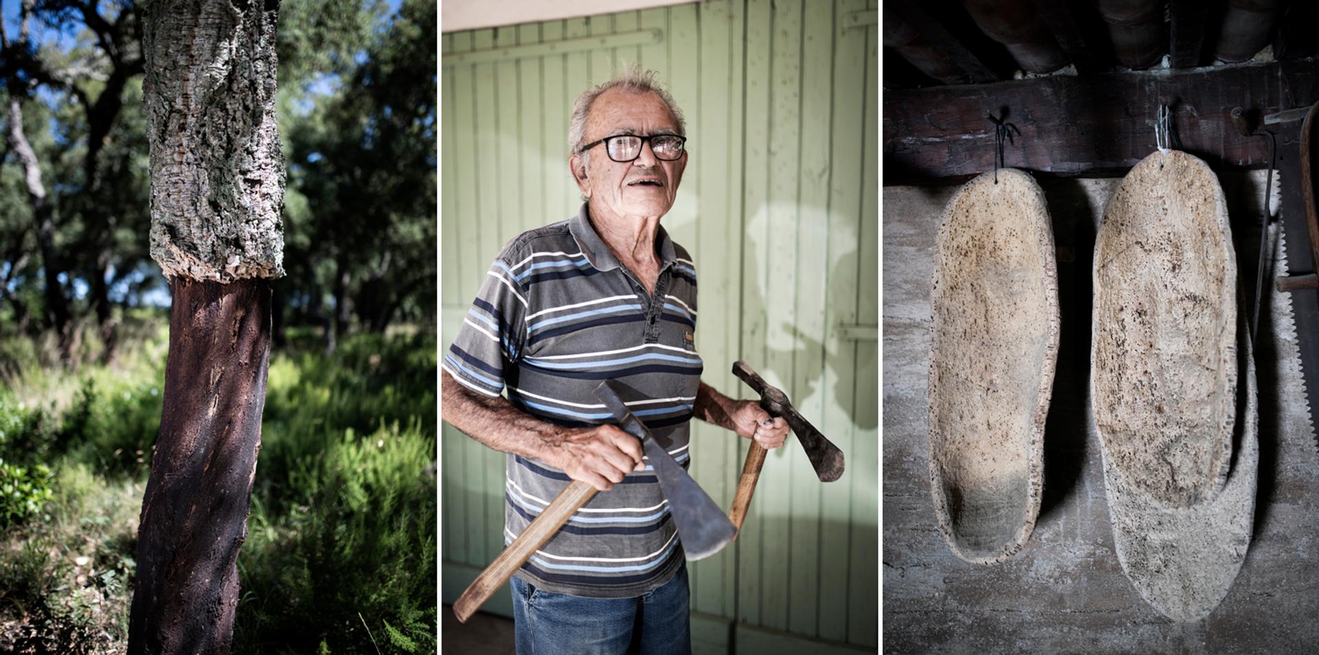 Tronco de sobreiro parcialmente levantado para que a árvore fique protegida dos insetos e do fogo. Jean Pelotero, o avô de Giraud, segura machados que são usados para levantar a casca de carvalho da cortiça. alfinetes.