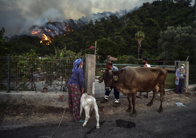 Des habitants fuient l’incendie avec leurs animaux, dans la région d’Hisaronu, en Turquie, le 2 août 2021.