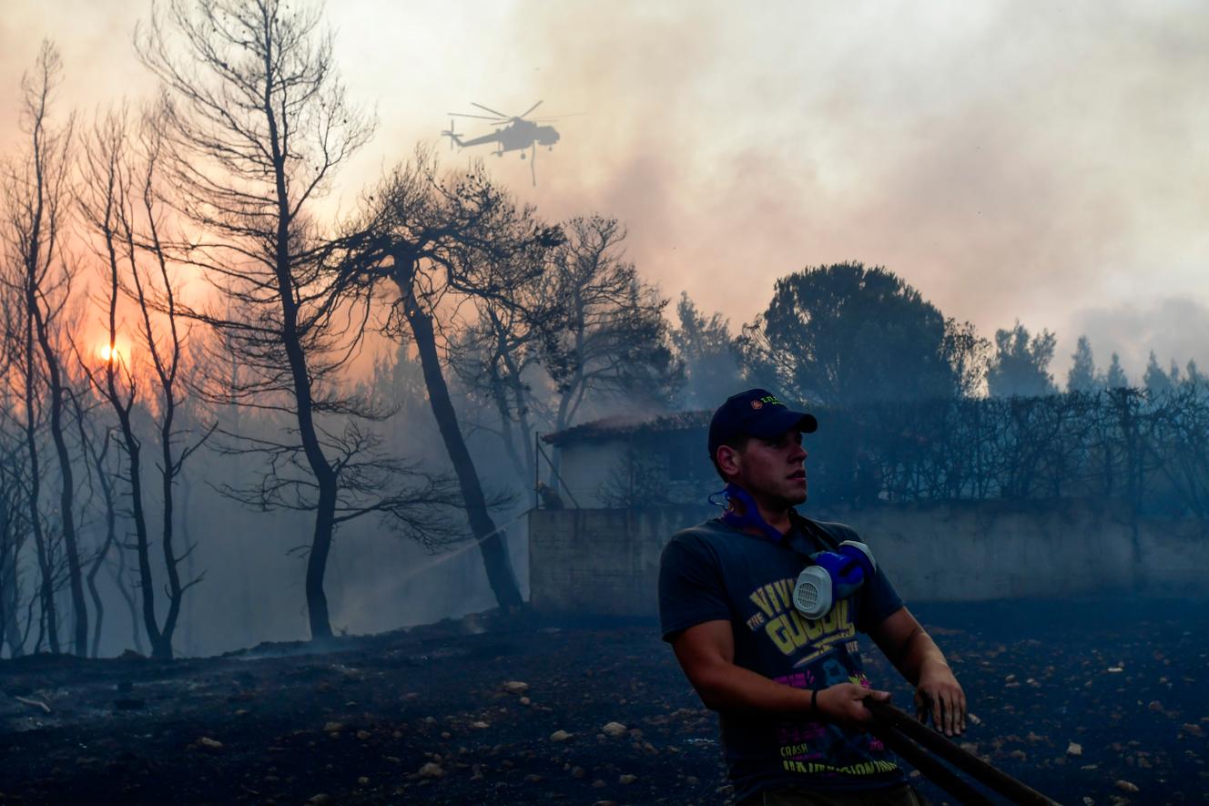 Het vuur hervatte donderdag 5 augustus in de noordelijke buitenwijk van Athene, in de buurt van Krioneri.
