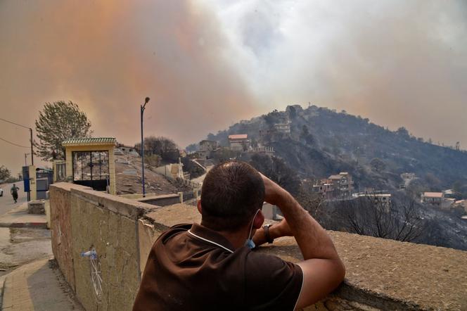 Kabylië is een dicht bebost en bergachtig gebied, ongeveer honderd kilometer ten oosten van Algiers.